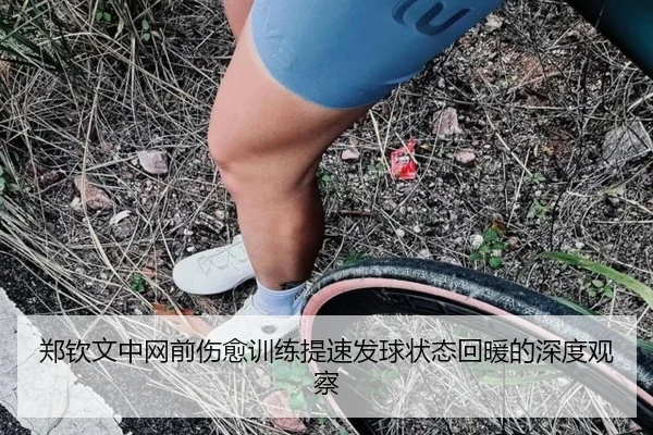 郑钦文中网前伤愈训练提速发球状态回暖的深度观察